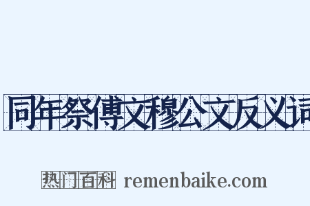 同年祭傅文穆公文反义词是什么意思的图片